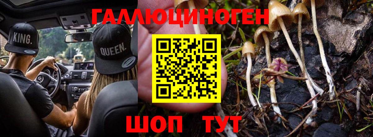 Чернушка  Галлюциногенные грибы Cubensis  Галлюциногенные грибы Cubensis  Вход с VPN 